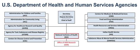 Institutes, Departments, Centers and Services .